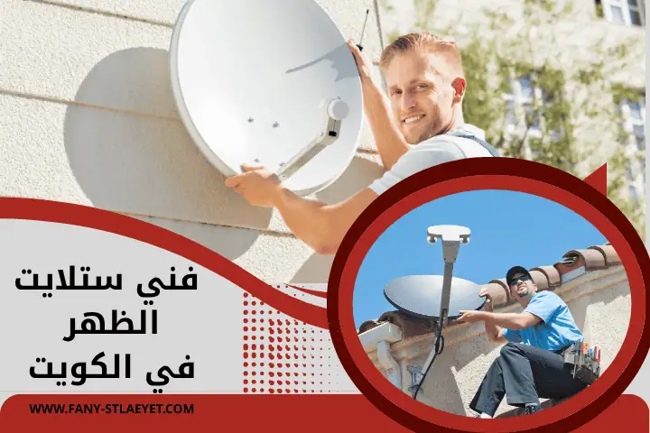 فني ستلايت الظهر