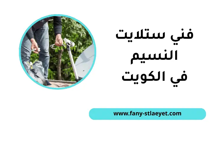 ورشة فني ستلايت النسيم