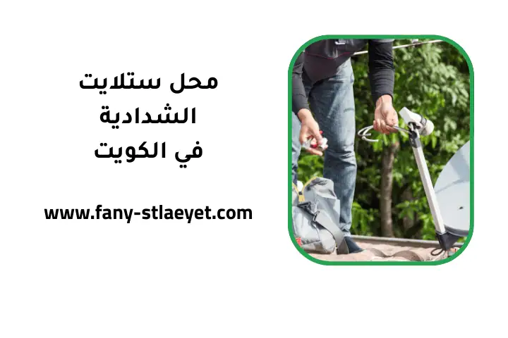 ورشة محل ستلايت الشدادية