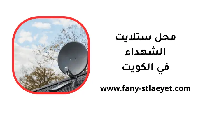 افضل محل ستلايت الشهداء