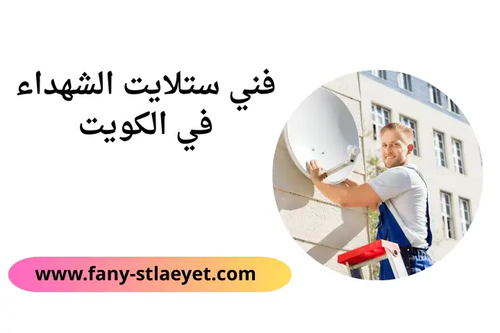 خدمة فني ستلايت الشهداء